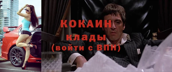 бошки Бородино