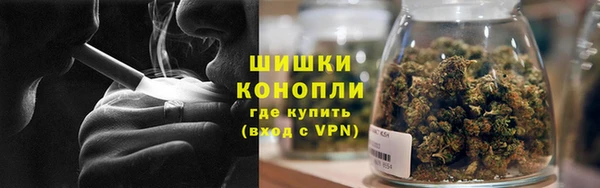 бошки Бородино