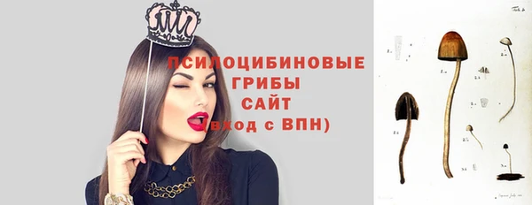 бошки Бородино