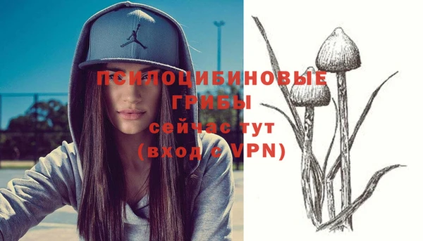 хмурый Бронницы