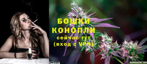 бошки Бородино