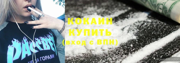 бошки Бородино