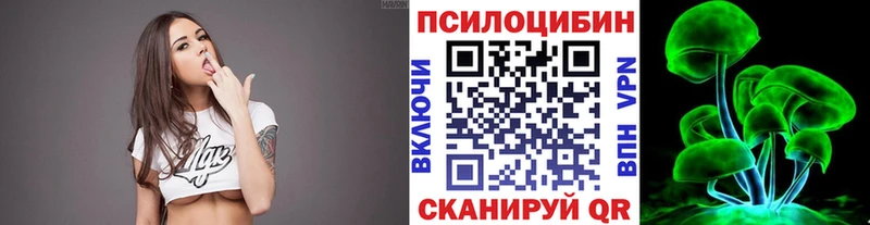 купить наркотики цена  Новокузнецк  Псилоцибиновые грибы GOLDEN TEACHER 